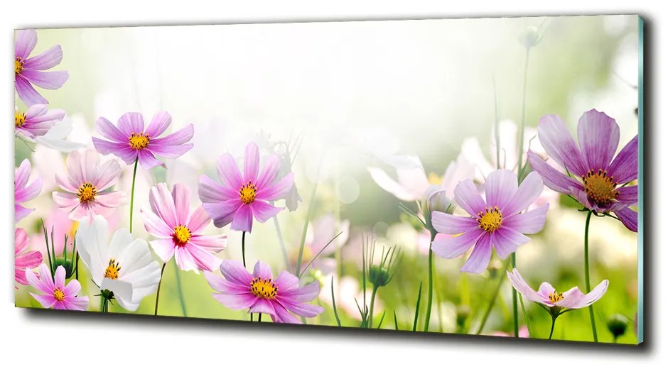 Foto obraz sklo tvrdené Kvety na lúke cz-obglass-125x50-49015861