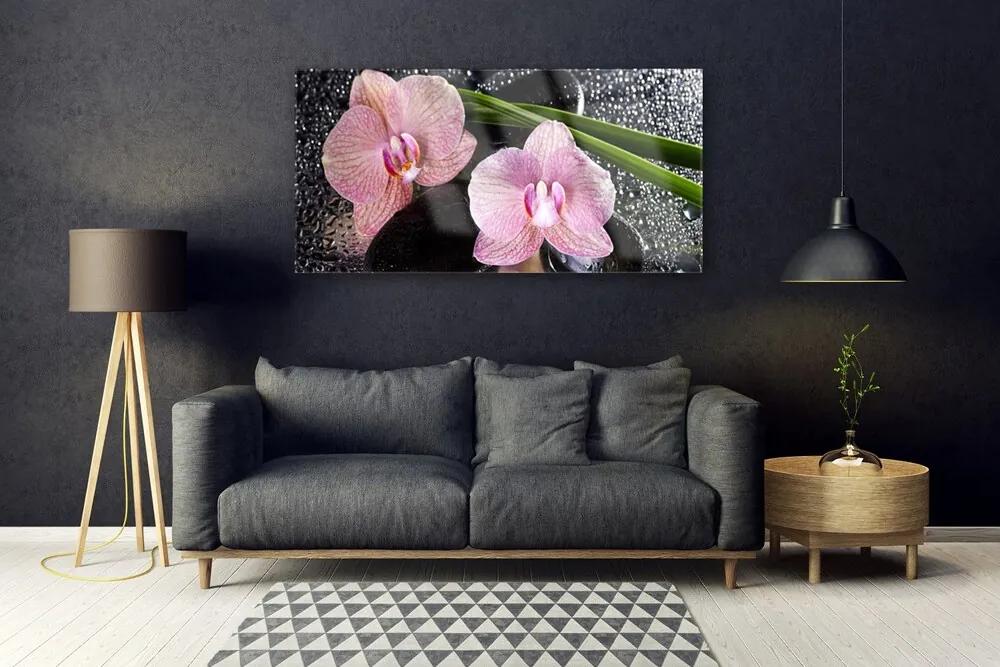 Obraz plexi Kvety orchidea kamene zen 120x60 cm