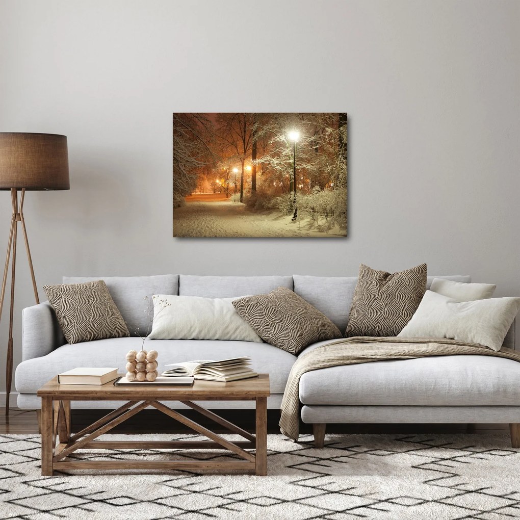 Obraz - Zasnežený park (70x50 cm)
