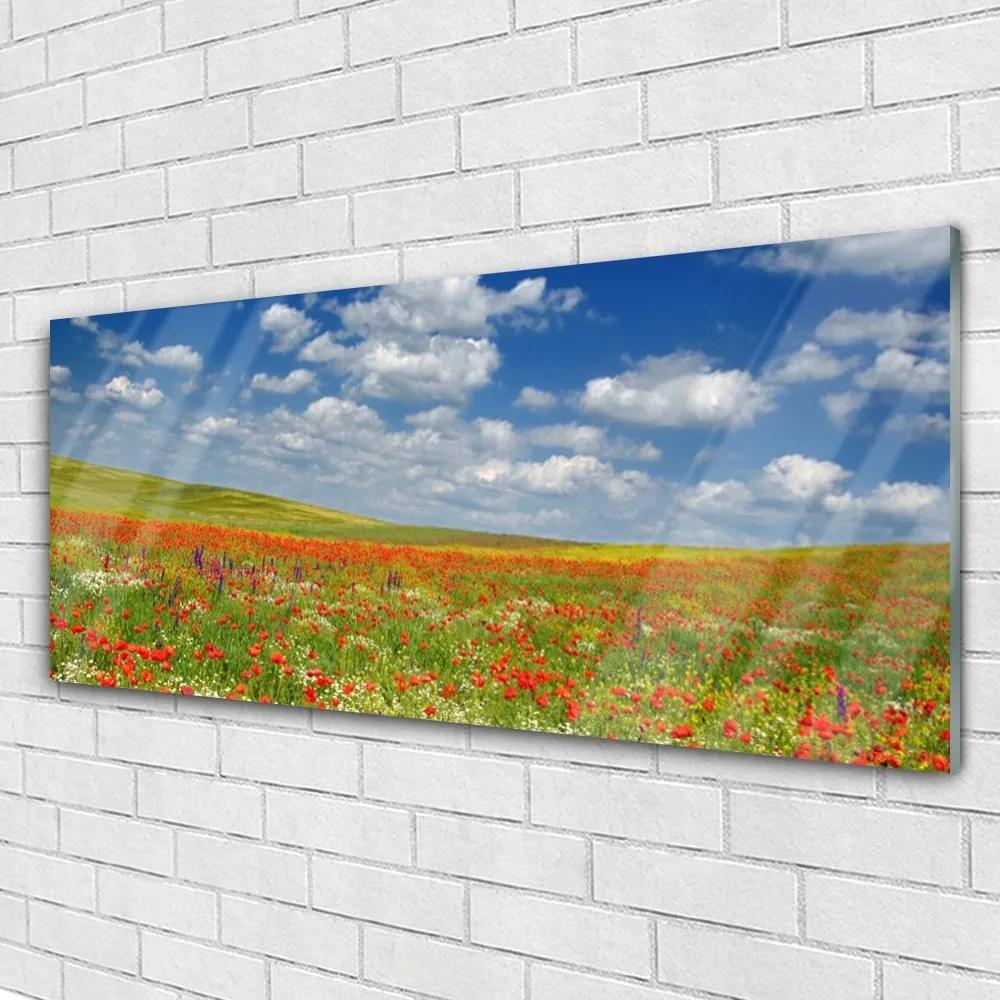 Obraz na akrylátovom skle Lúka kvety príroda 125x50 cm