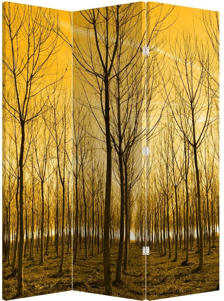 Paraván - Les pri západe slnka (126x170 cm)