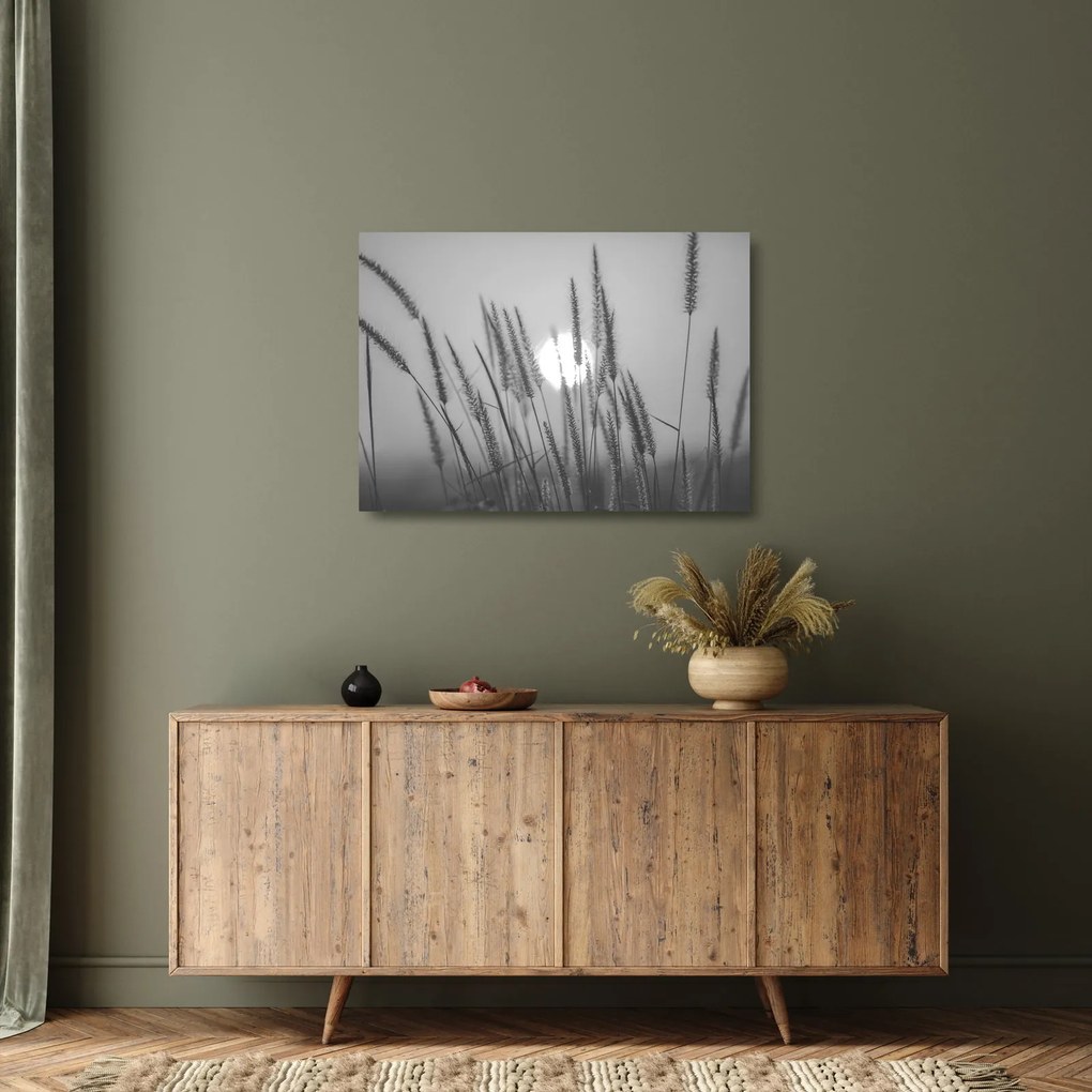 Sklenený obraz - Lúka pri západe slnka (70x50 cm)