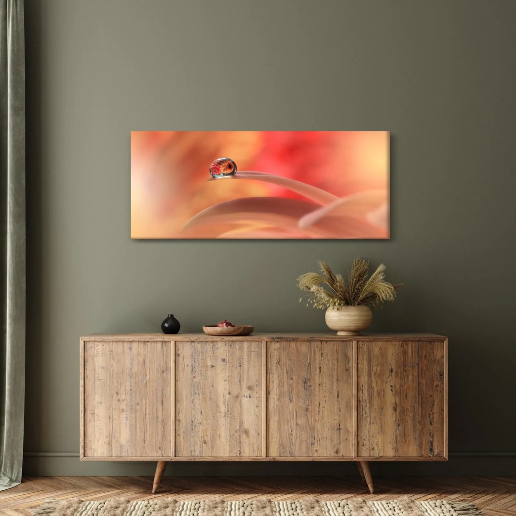 Obraz kvetinové kvapky rosy (120x50 cm)