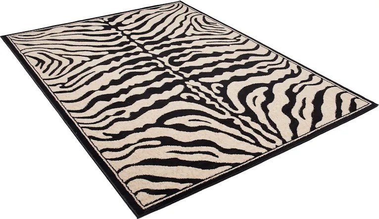 TA Koberec J315B ČIERNY ATLAS PP Rozmer: 160x220 cm