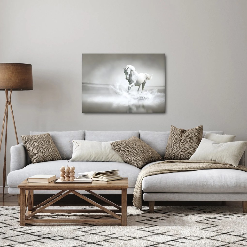 Obraz - Biely kôň (70x50 cm)