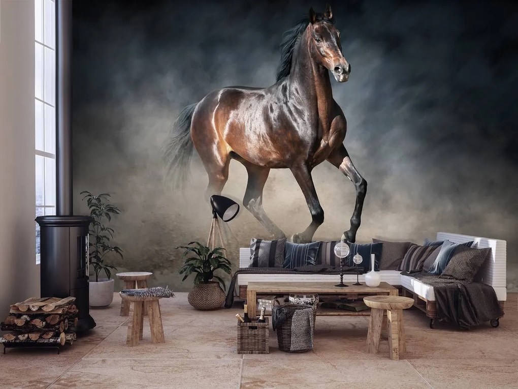 Fototapeta - Hnedý kôň (152,5x104 cm)