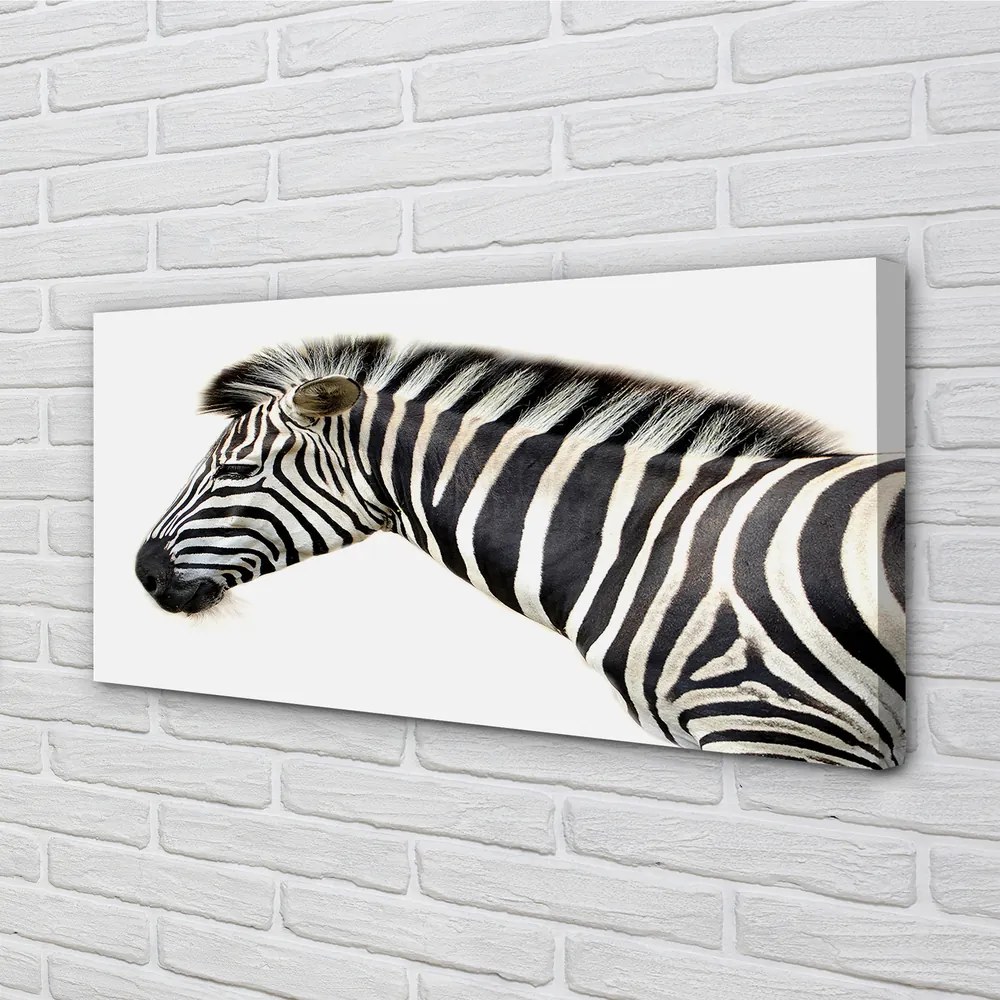 Obraz na plátne zebra 140x70 cm