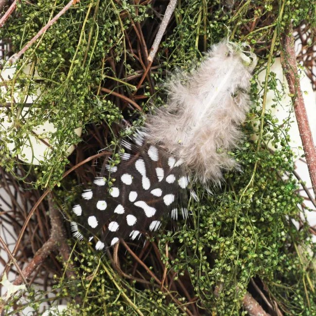 Veniec EDGAR s vajíčkami 845821