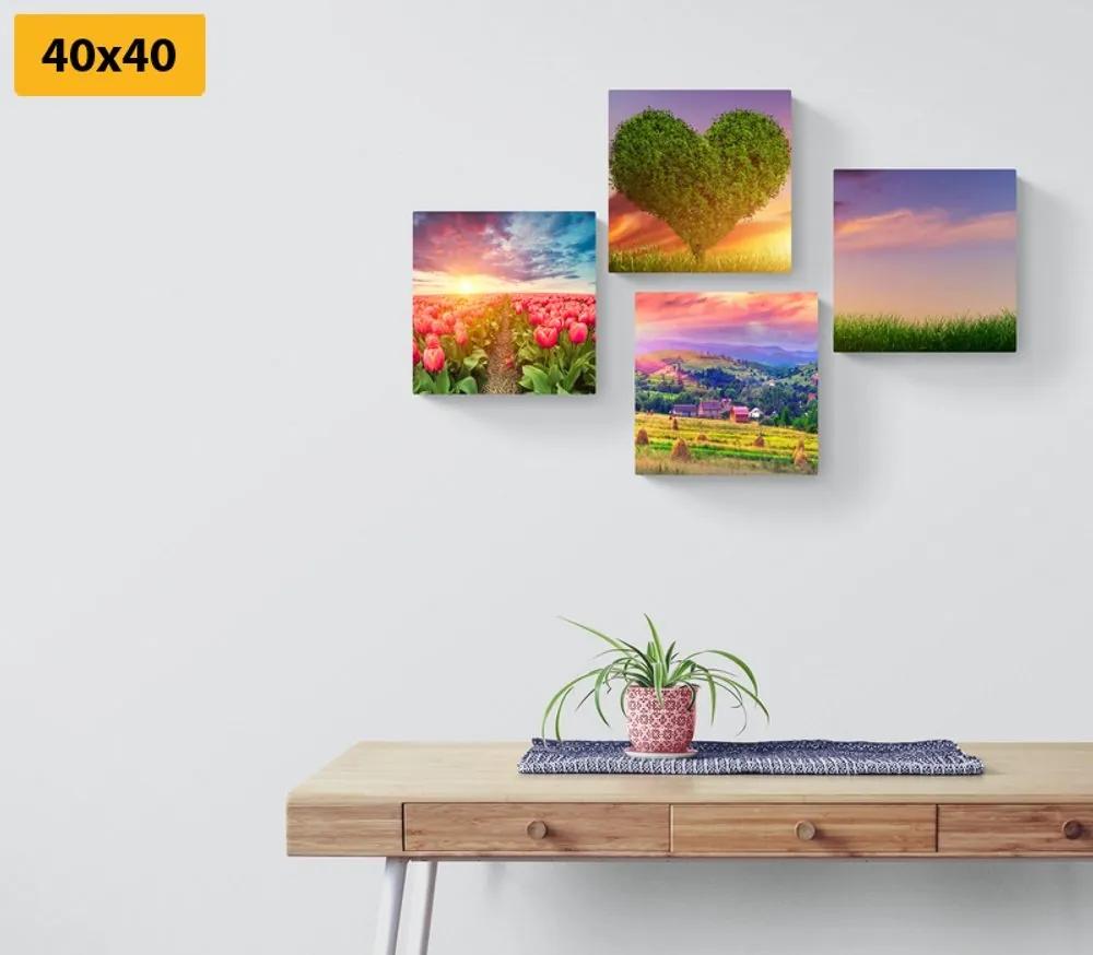 Set obrazov príroda v pastelových farbách - 4x 60x60