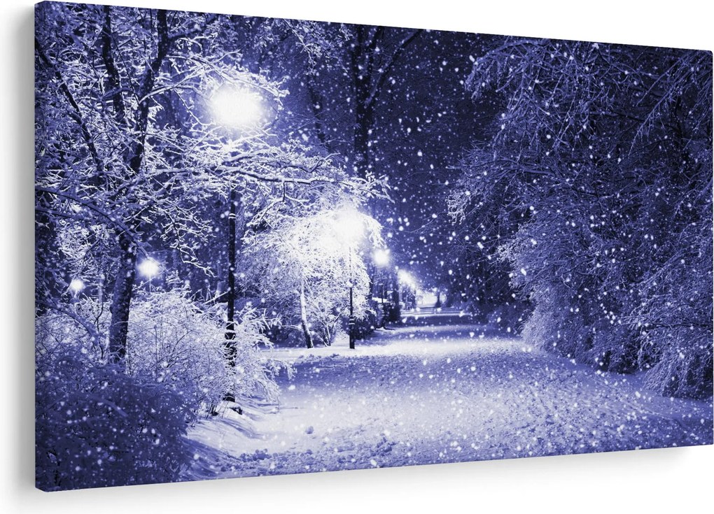 Obraz - Čarovná zimná noc (90x60 cm)