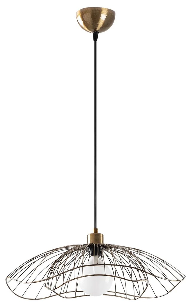 Farac - 6381
