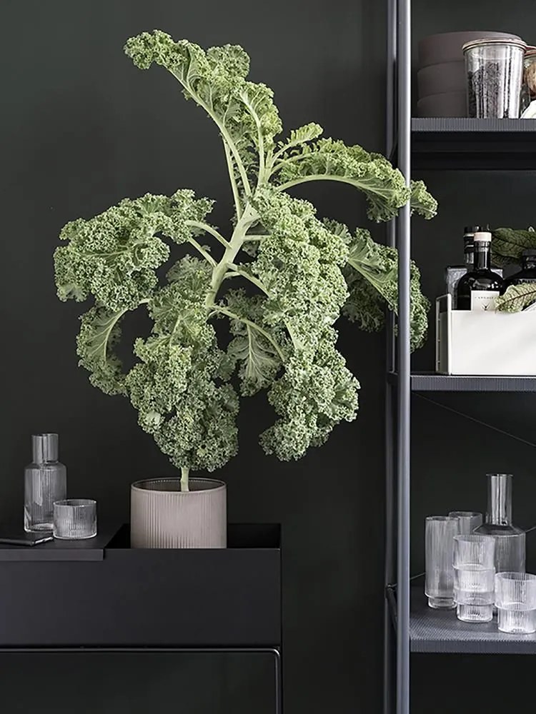 Ferm Living Stojan na kvety Plant Box Black