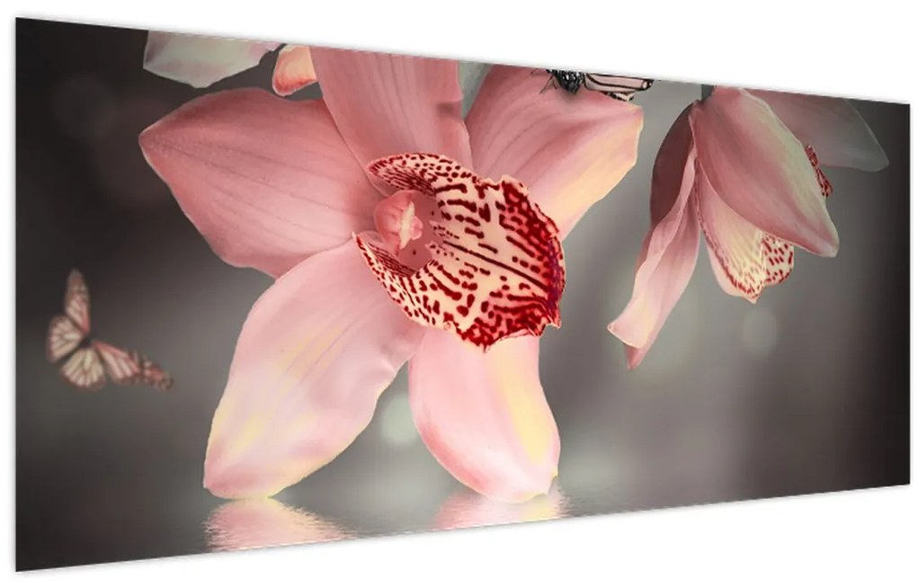 Obraz - Kvety a motýľ (120x50 cm)