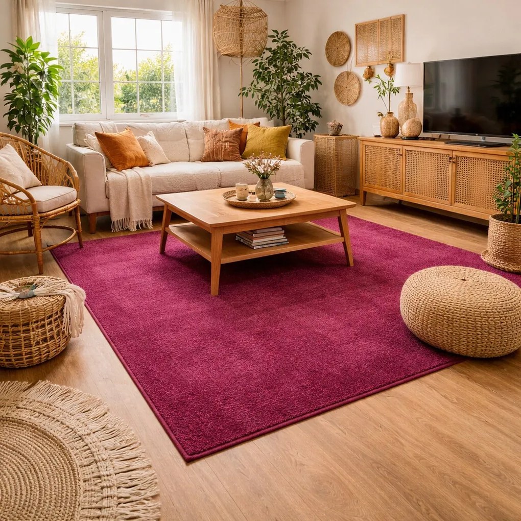 Vopi, Kusový koberec Eton fialový 48, 120x170, fialová, chodba / predsieň