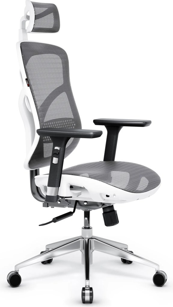 Ergonomická kancelárska stolička zo sieťoviny, biely-sivý: Diablo V-Basic