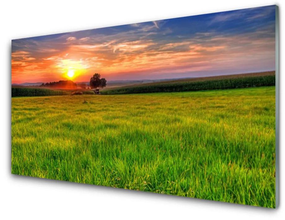 Obraz plexi Lúka slnko príroda 125x50 cm