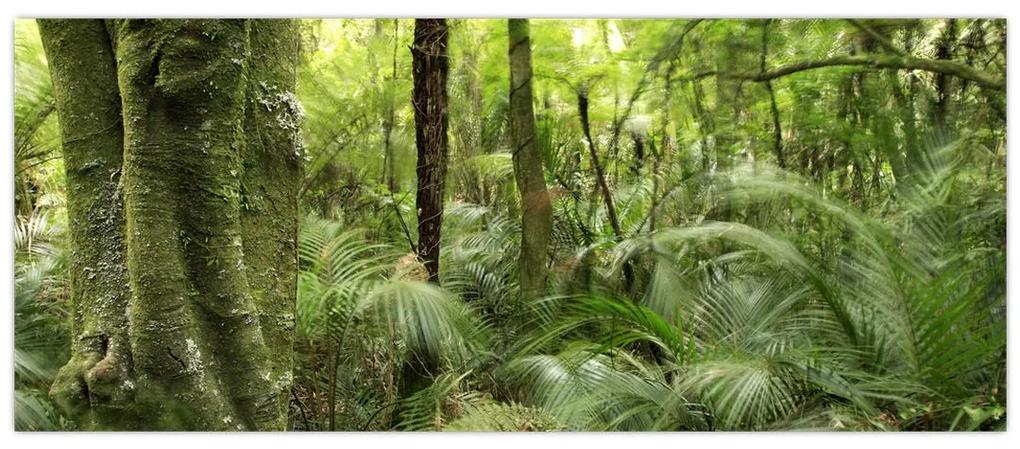 Obraz Tropický dažďový prales (120x50 cm)