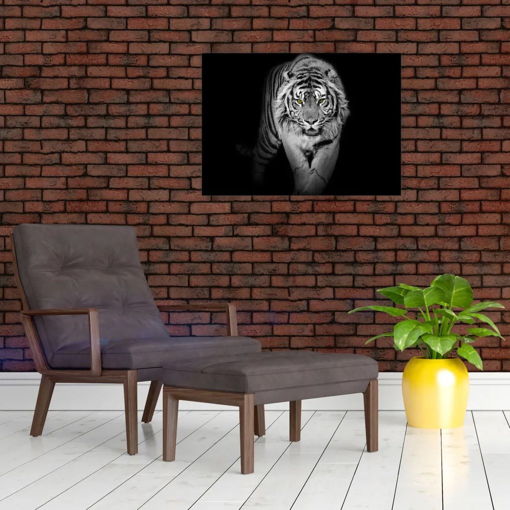 Obraz - Tiger so žltými očami (70x50 cm)
