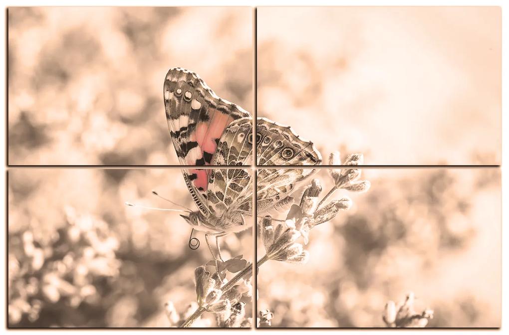 Obraz na plátne - Motýľ na levandule 1221FE (120x80 cm)
