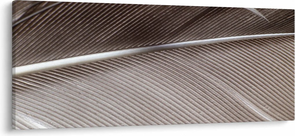 Abstraktný obraz vlákien (120x50 cm)