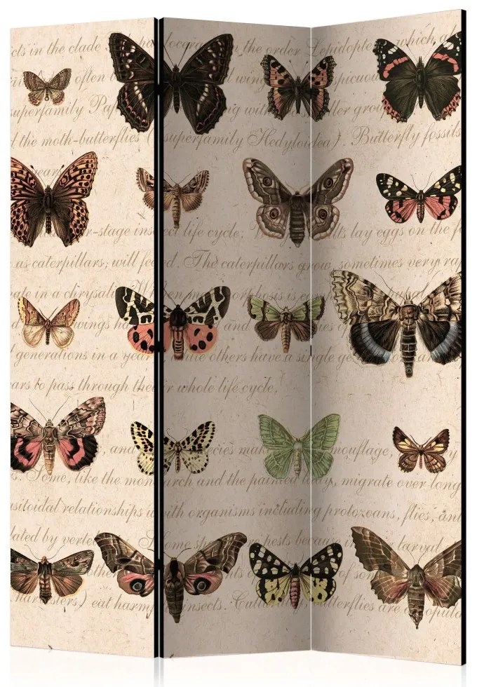 Artgeist Paraván - Retro Style: Butterflies [Room Dividers]