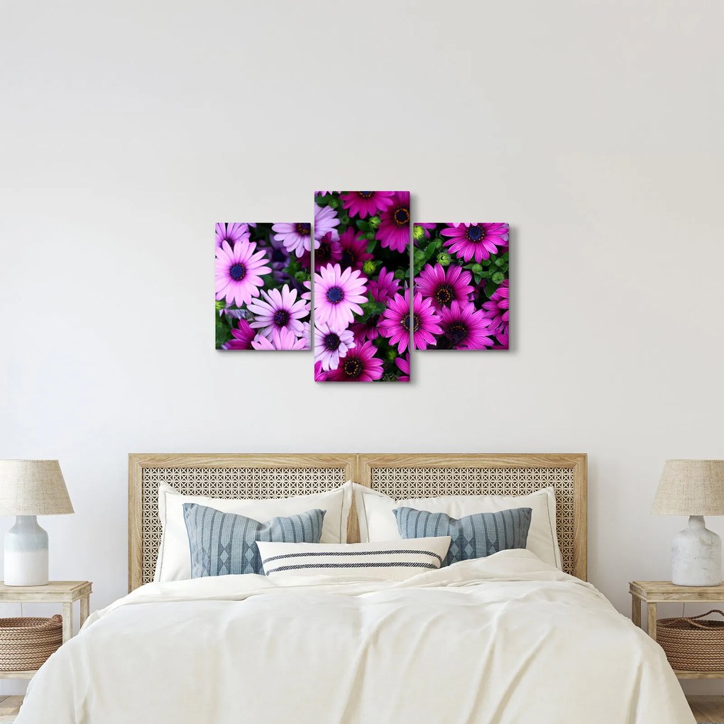 Obraz - Kvety (90x60 cm)