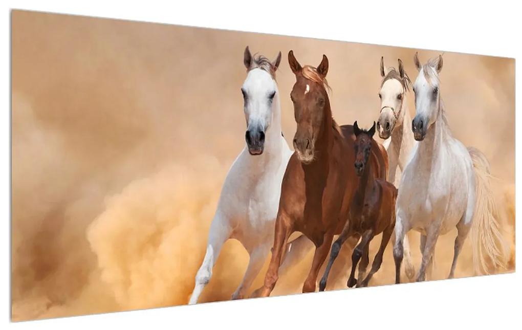 Obraz koní (120x50 cm)