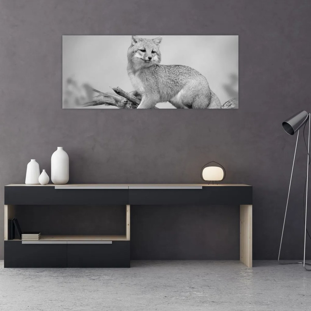 Obraz - Líška šedá (120x50 cm)