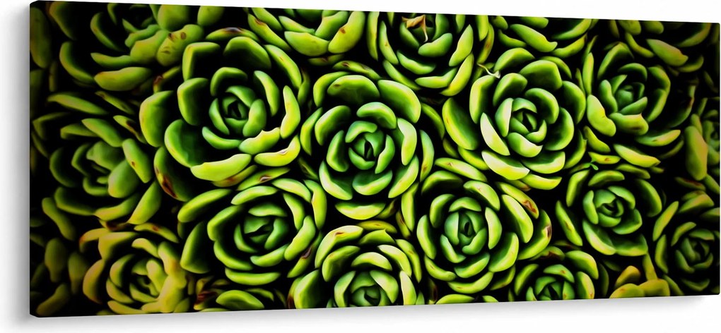 Obraz skalníc (120x50 cm)