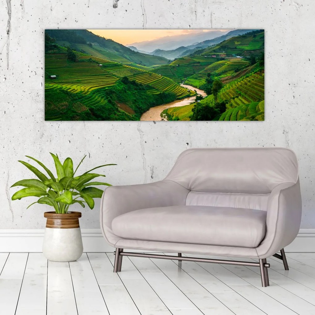 Obraz - Ryžové terasy II. (120x50 cm)