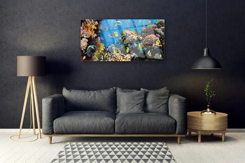 Obraz na akrylátovom skle Koralový útes príroda 100x50 cm