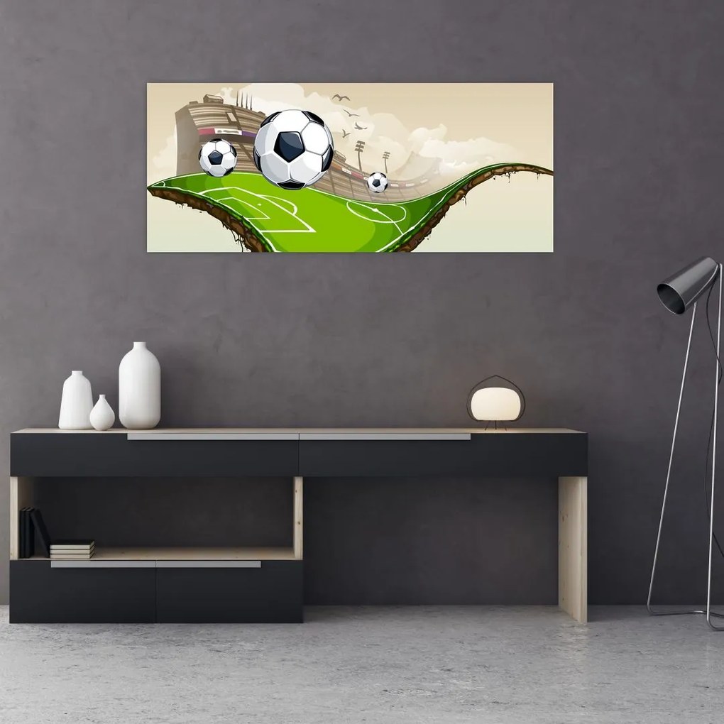 Obraz - Futbalové ihrisko (120x50 cm)