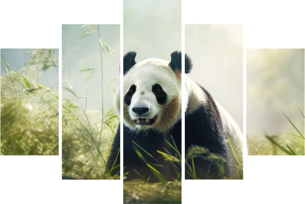 Obraz - Panda (150x105 cm)