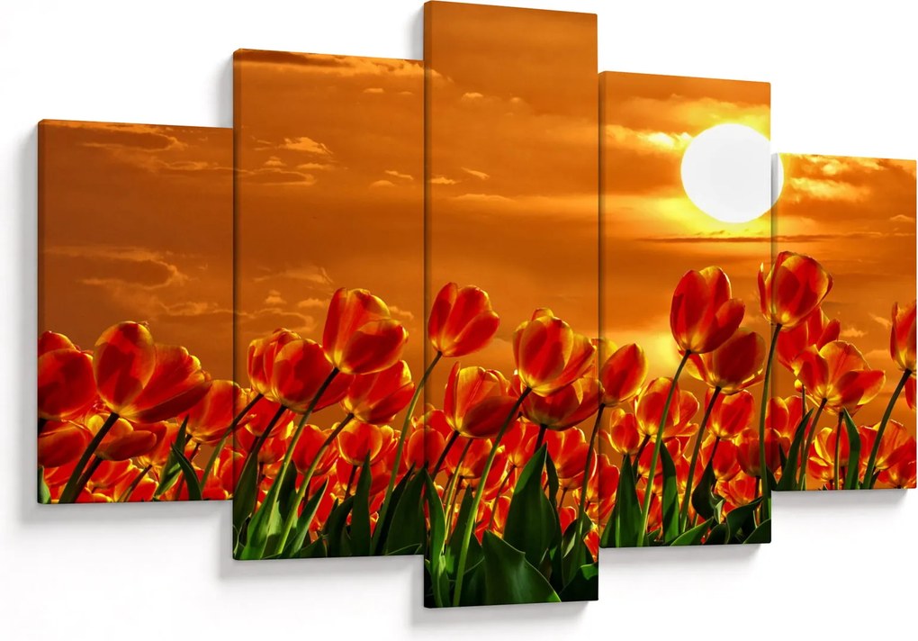 Obraz rozkvitnutého lánu s tulipánmi (150x105 cm)