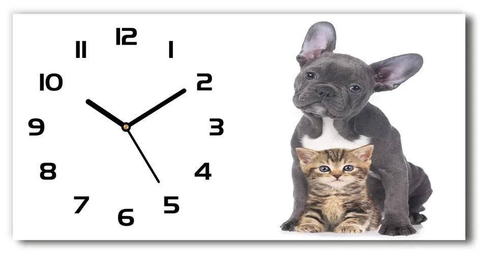 Vodorovné Moderné sklenené hodiny na stenu Pes a mačka pl_zsp_60x30_f_80558737