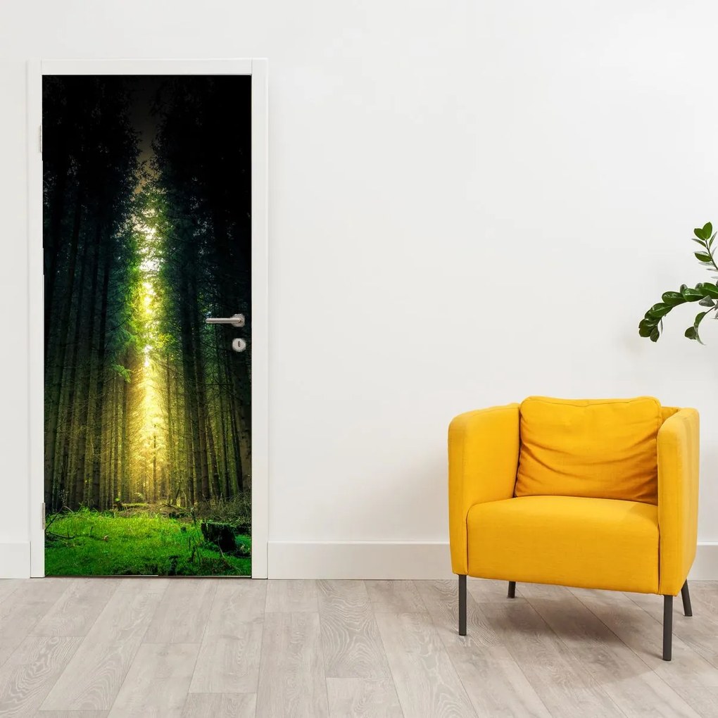 Fototapeta na dvere - Temný les (95x205cm)