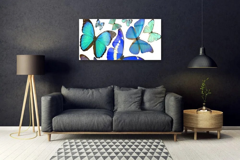 Obraz na akrylátovom skle Motýle príroda 100x50 cm