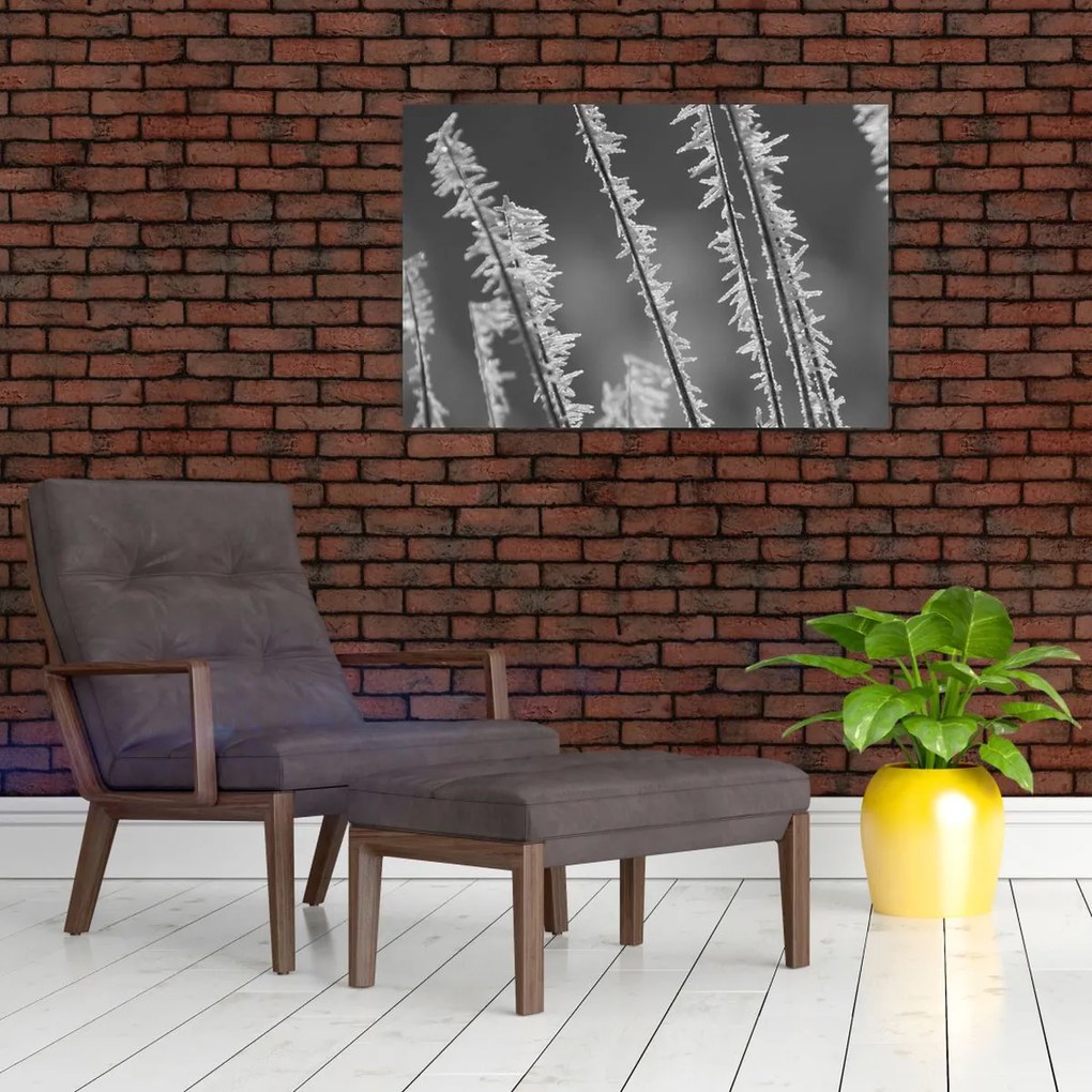 Obraz - Mrazivá zima (90x60 cm)