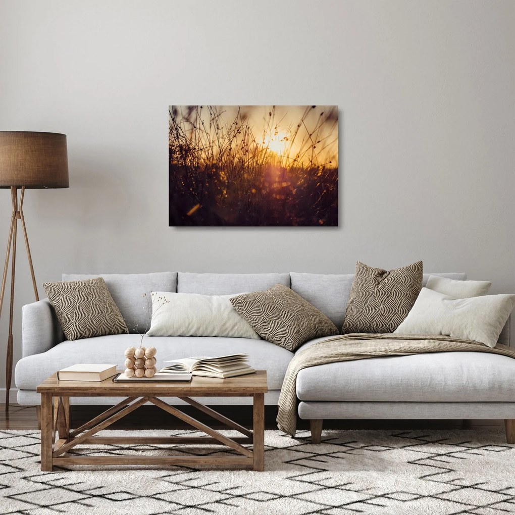 Sklenený obraz poľa pri západe slnka (70x50 cm)