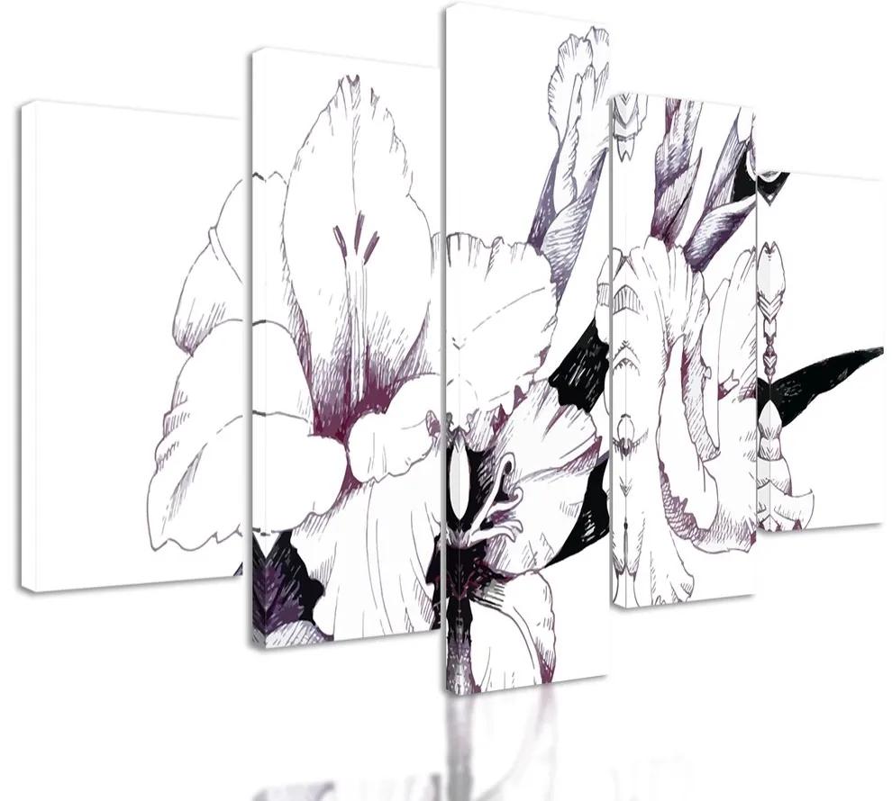 5-dielny obraz minimalistická ilustrácia gladioly