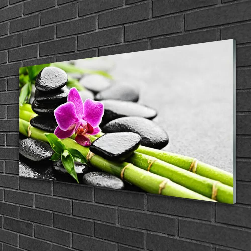Obraz na skle Bambus kvet kamene umenie 140x70 cm