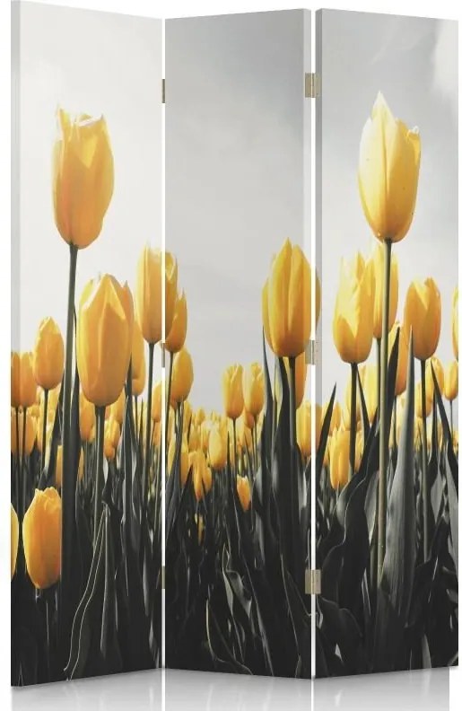 CARO Paraván - Yellow Tulips | trojdielny | jednostranný 110x180 cm
