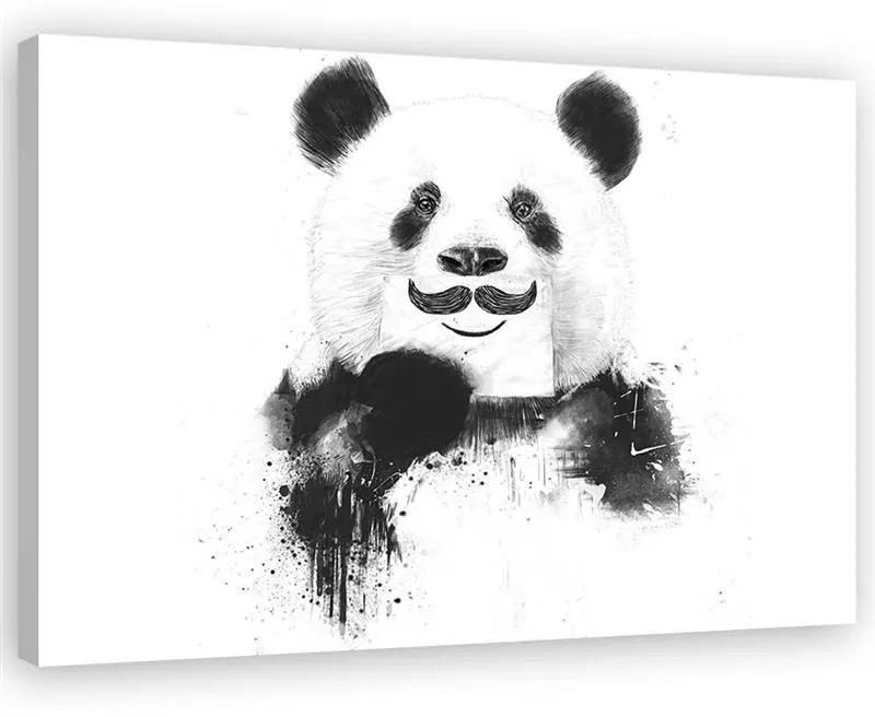 Gario Obraz na plátne Čiernobiela panda - Rykker Rozmery: 60 x 40 cm