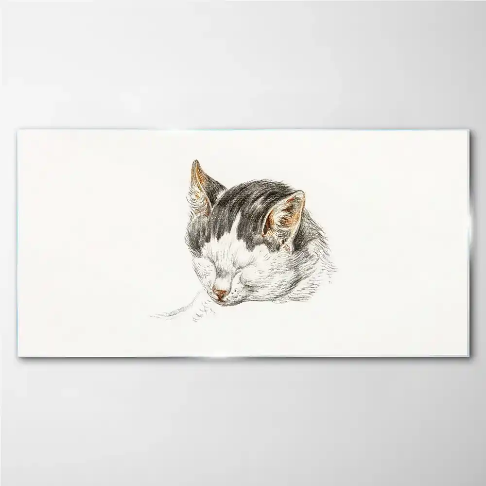 Obraz na skle Kreslenie zvierat mačka | Biano