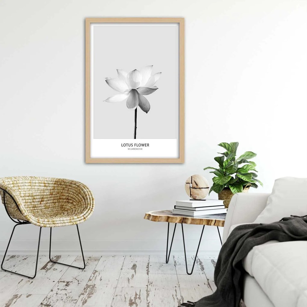 Gario Plagát Biely lotosový kvet Farba rámu: Bez rámu, Rozmery: 30 x 45 cm