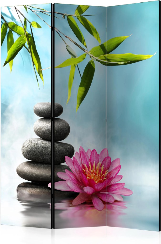 Paraván - Water Lily and Zen Stones [Room Dividers] 135x172 7-10 dní