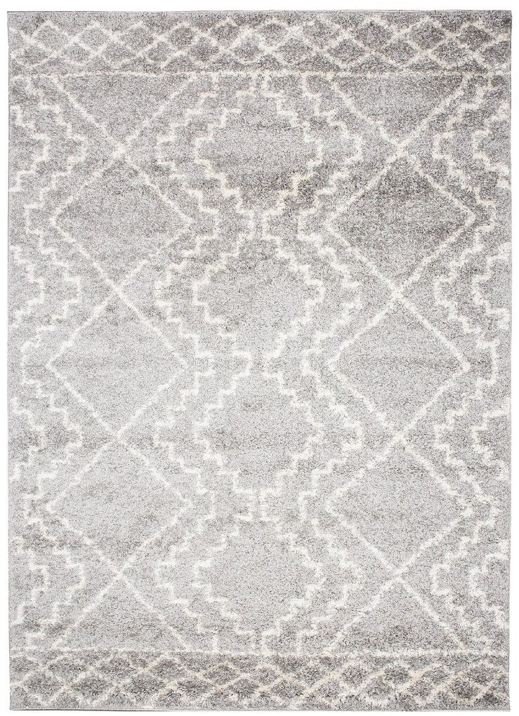 PROXIMA.store - Moderný koberec DENNIE - SHAGGY ROZMERY: 80x150
