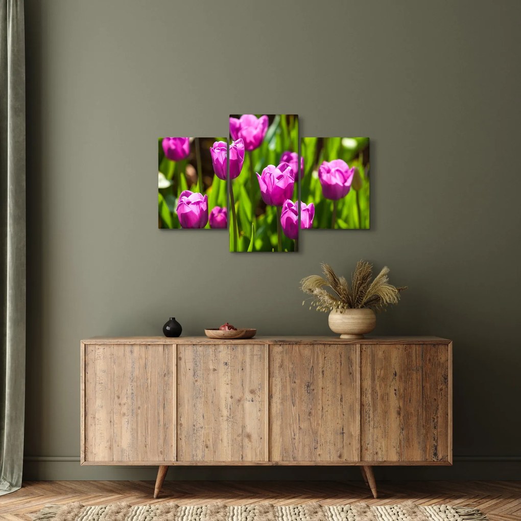 Obraz tulipánov na lúke (90x60 cm)