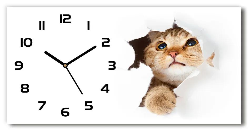 Vodorovné Sklenené hodiny na stenu tiché Mačka v diere pl_zsp_60x30_f_33902265