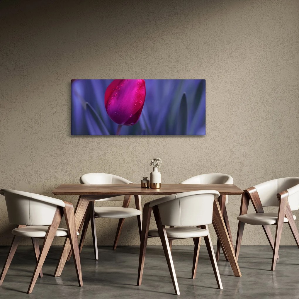 Obraz pupete tulipánu (120x50 cm)